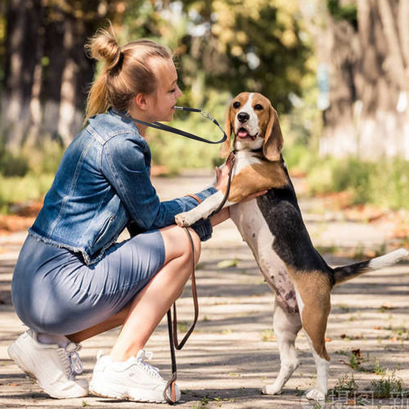 JINGYUANUS Professional Training Dog Whistle, Adjustable Pitch Ultrasonic Training Tool, Effective Way of Trainin, Used for Recall, Stop Barking and Other Training,(3Pack + 3Free lanyardsr) - PawsPlanet Australia