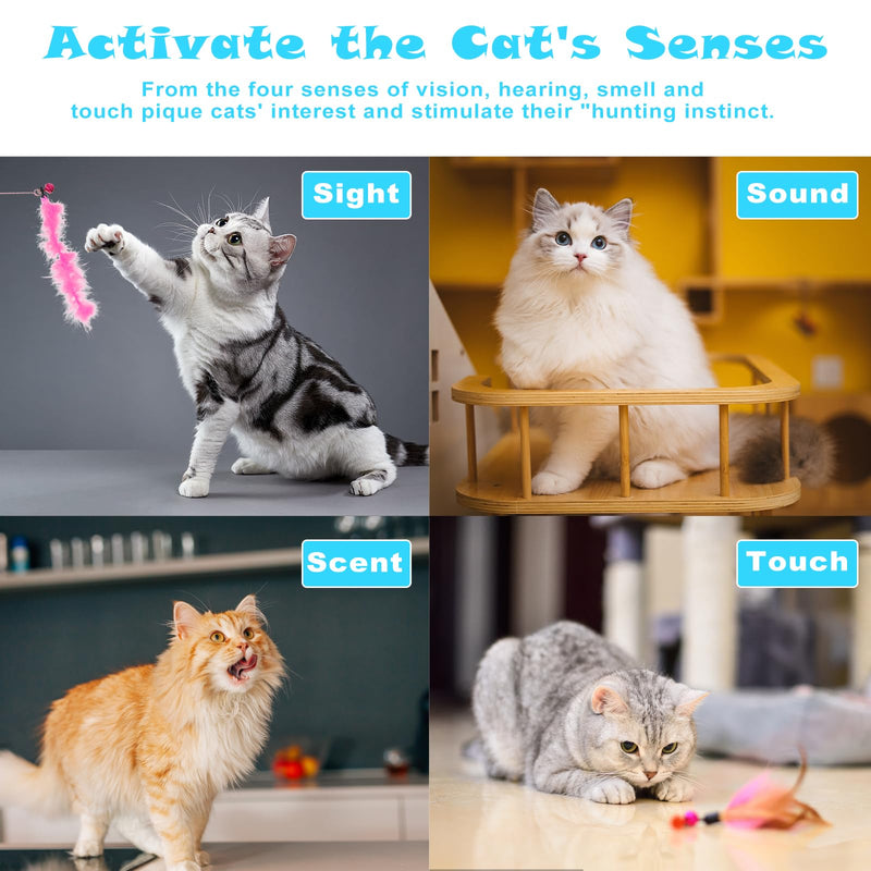 Bewudy Pack of 3 Interactive Cat Toys, Intelligence Cat Toys, Cat Toys Feather with Bells, Cat Fishing Rod with Colorful Feathers for Small Large Cats - PawsPlanet Australia