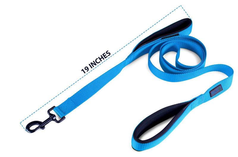 [Australia] - Wagtime Club Soft and Thick Double Handle Premium Nylon 4FT x 3/4 in Leash - Dual Neoprene Padded Handles for Ultimate Comfort and Control - for Medium to Large Dogs- Vibrant Colors Bright Blue 