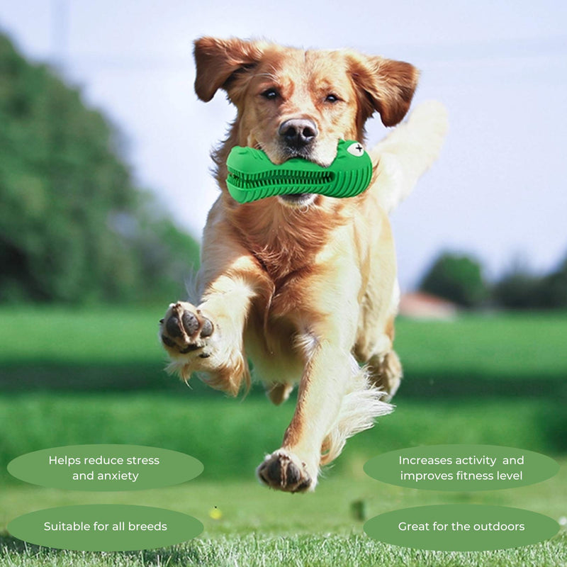 Dog Toys, Squeaky Dog Chews. Durable Natural Rubber Toothbrush. Pet Dental Care & Plaque Removal for Small to Large Dogs Green - PawsPlanet Australia