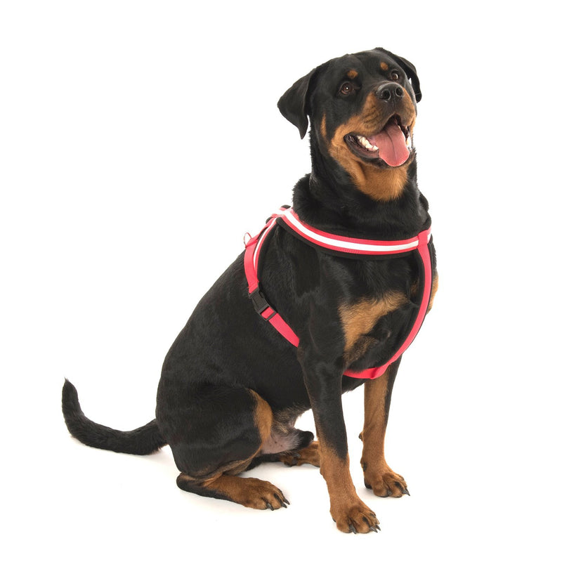 COA Comfy Harness, Toy - PawsPlanet Australia