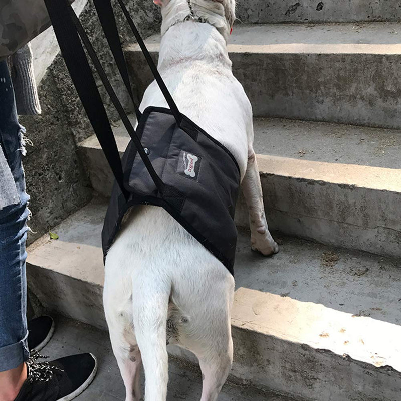 XYDZ Dog Lift Harness - Support Sling Helps Dogs With Weak Front or Rear Legs Stand Up, for Older or Sick Pets Getting In and Out of Stairs and Out of Cars - PawsPlanet Australia