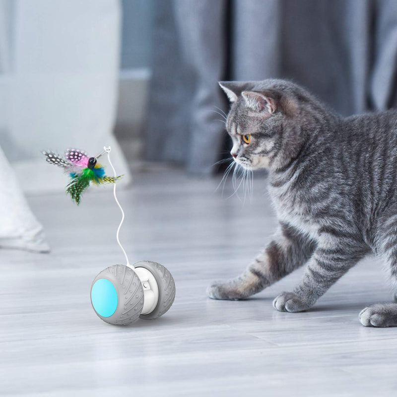 [Australia] - GKCI 2019 Upgrade Electronic Cat Toy, Automatic Interactive Cat Toy Light Catch with Feather 2 in 1 Rotating Teasing Pet for Activity 