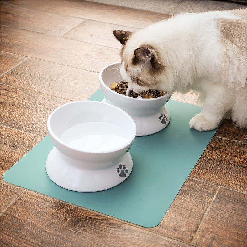 Raised Cat Bowl Elevated Slow Feeder Solve Vomiting Melamine Stress Free Pet Feeder and Waterer,Backflow Prevention, Gift for Cat - PawsPlanet Australia