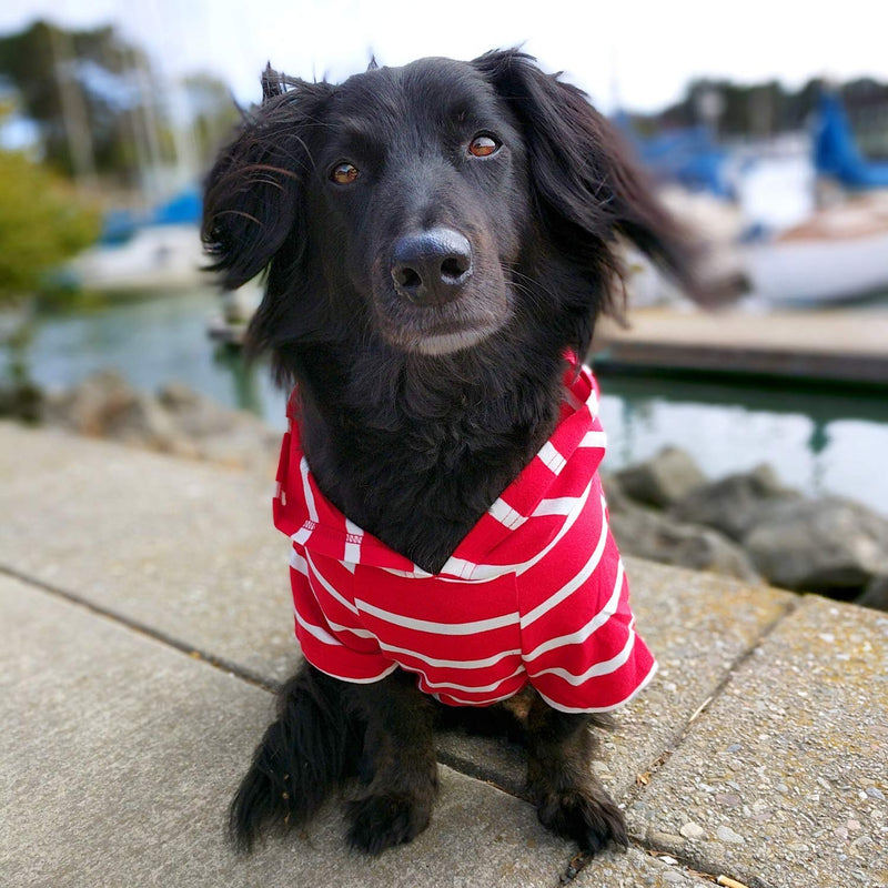 [Australia] - DJANGO Dog Hoodie and Super Soft and Stretchy Sweater with Elastic Waistband and Leash Portal Small Red 