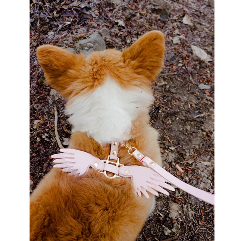 [Australia] - WhaleCreation Dog Collar with Leash Set Angel's Wings Costumes Pet Collar Small White 