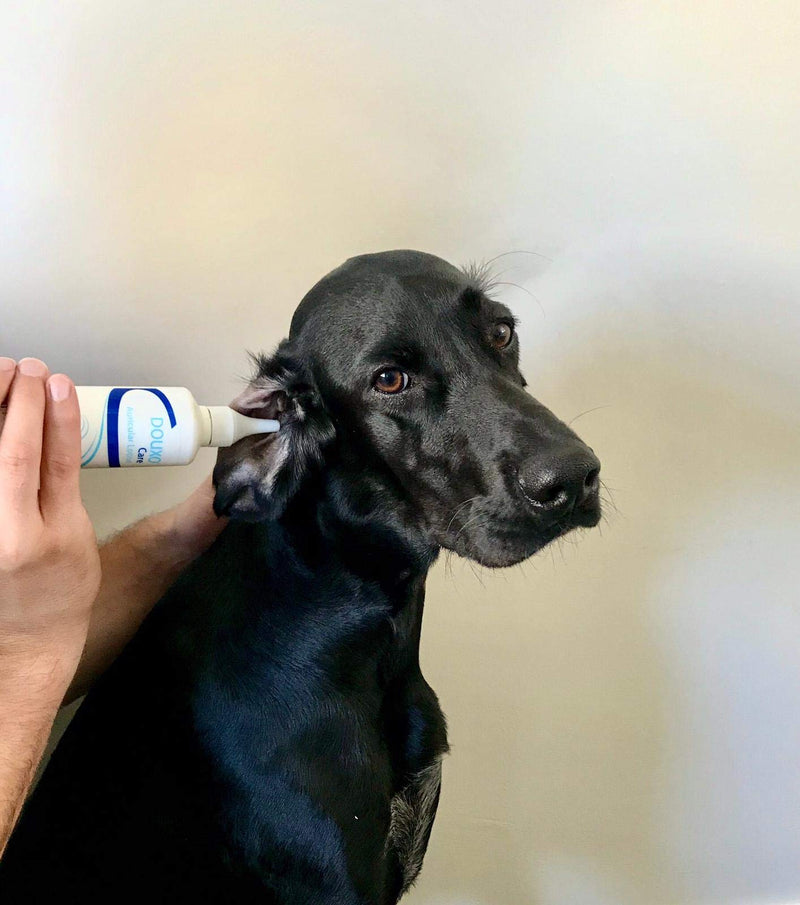 Douxo CARE Ear Cleaner - Multipurpose for Waxy or Itchy Ears and Skin Fold Hygiene - Pet Ear Drops 125 ml - PawsPlanet Australia