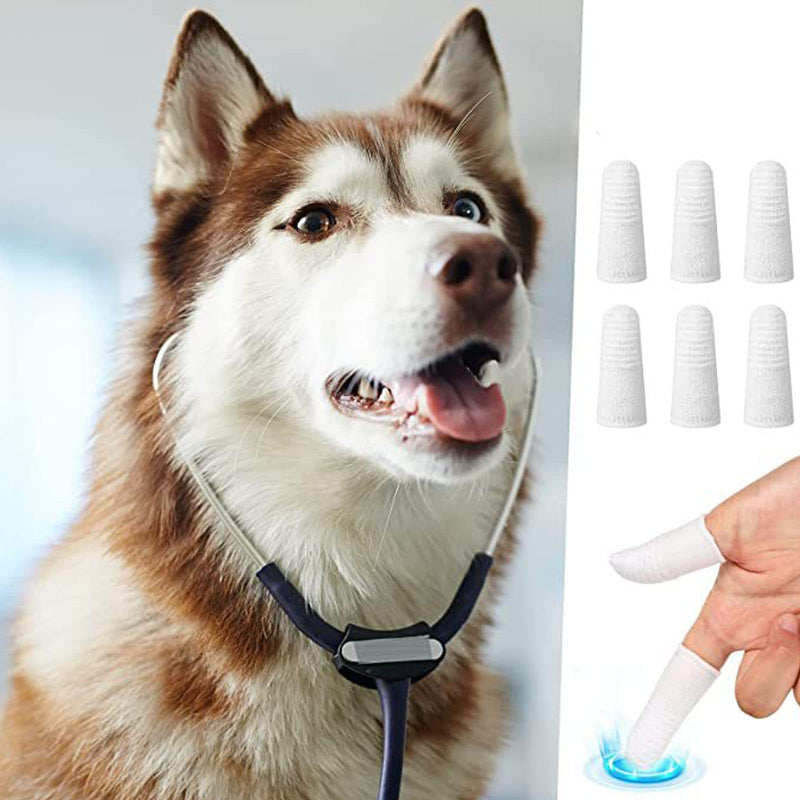 Pack of 6 dog toothbrushes, dog toothbrush for small dogs, dog toothbrush, cat toothbrush, dog toothbrush, dog finger toothbrush, knitted fabric, for dental care for pets, anti-plaque - PawsPlanet Australia