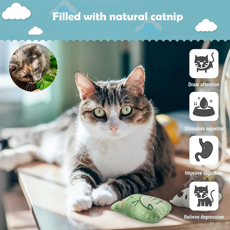 piece cat toy set, cat toy set made of cat cushion, valerian cushion toy with catnip, cat toy activity, sweet catnip toy for scratching, playing and chewing B - PawsPlanet Australia