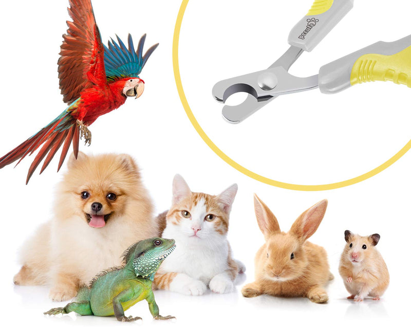pecute Cat Nail Clippers Sharp Stainless Steel Professional Pet Nail Trimmers for Cat,Small Breed Dog, Rabbit and Small Animal(Grey+Yellow) Grey+Yellow - PawsPlanet Australia