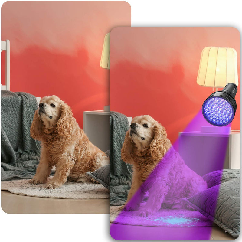 Qisebin UV Flashlight Black Light UV Lights, 51 LED Blacklight Pet Urine Detector for Dog/Cat Urine,Dry Stains,Bed Bug, Matching with Pet Odor Eliminator(Batteries Not Included),Flash-UV-51 - PawsPlanet Australia