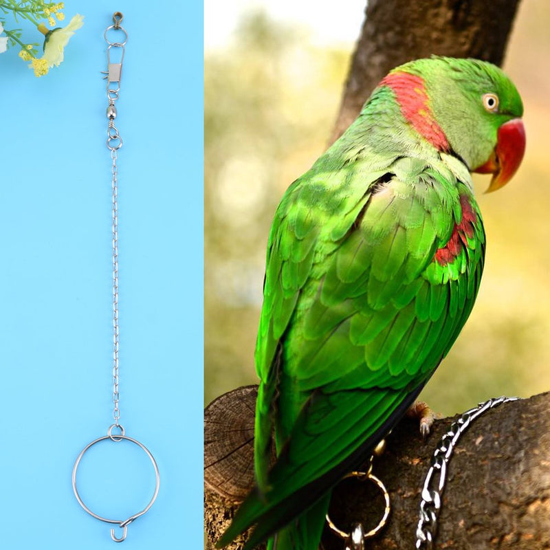 Stainless Steel Anklet Pet Parrot Birds Foot Chain + Ring Toys for Pet Parrot Birds Silver(5.5mm) - PawsPlanet Australia