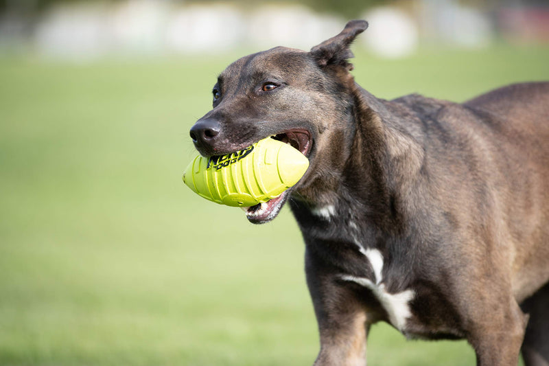 Nerf Dog Squeak Rubber Football Dog Toy Green Single - PawsPlanet Australia