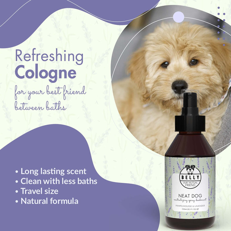 Belly Dog Deodoriser Spray - Natural Dog Perfume Spray and Dog Cologne Spray - Dog Spray For Smelly Dogs - Grooming Products For Dogs, Dog Deodorant Spray, Puppy Spray, Puppy Perfume Spray, 250 ml - PawsPlanet Australia