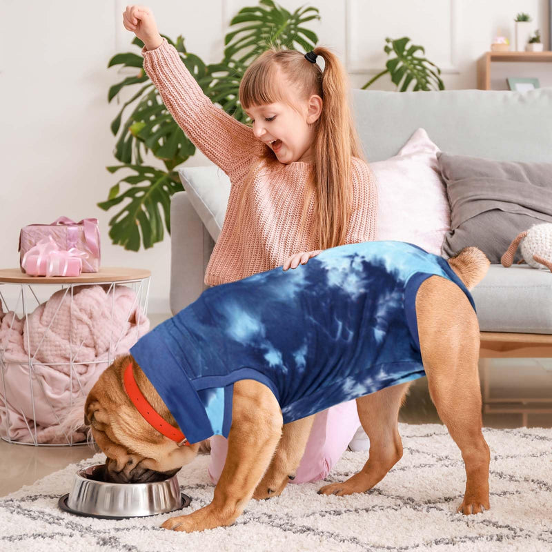 Recovery suit for dogs, wound protection for puppies, dog bodysuit after surgery castration male bodysuit for dogs after operations, replacement collar, prevents licking For small, medium and large dogs (L) L - PawsPlanet Australia