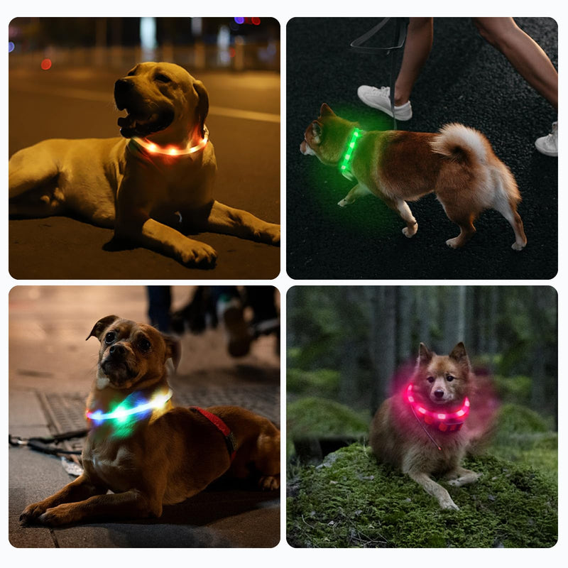 Nepfaivy Luminous Dog Collar USB Rechargeable - Luminous Dog Collar with Adjustable Length for Small to Large Dogs, LED Collar for Dogs with 3 Lighting Modes for Safety, Rainbow - PawsPlanet Australia