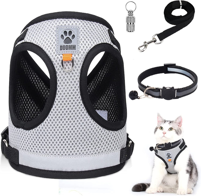 Cat harness against escape, harness and leashes for cats, collars, harness and leashes for cats, collar with pendant, anti-loss set for kittens, dogs, Chihuahua (gray, M) grey - PawsPlanet Australia