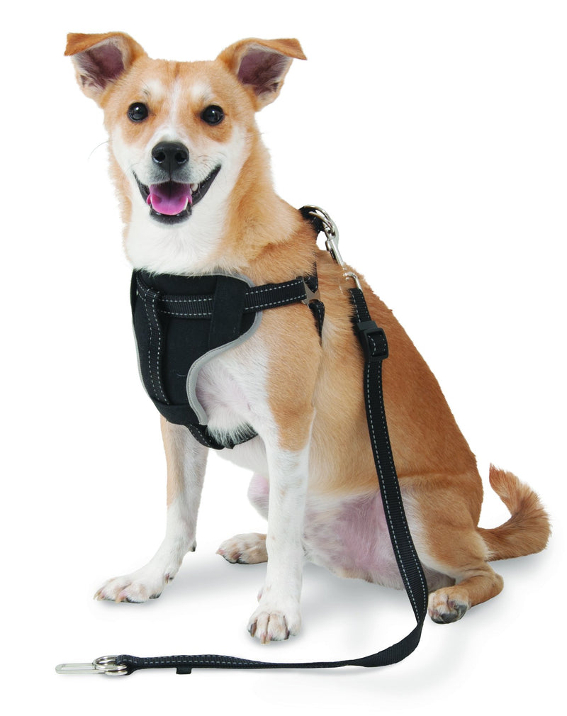 [Australia] - Petmate The Ultimate Travel Harness for Pets Small 