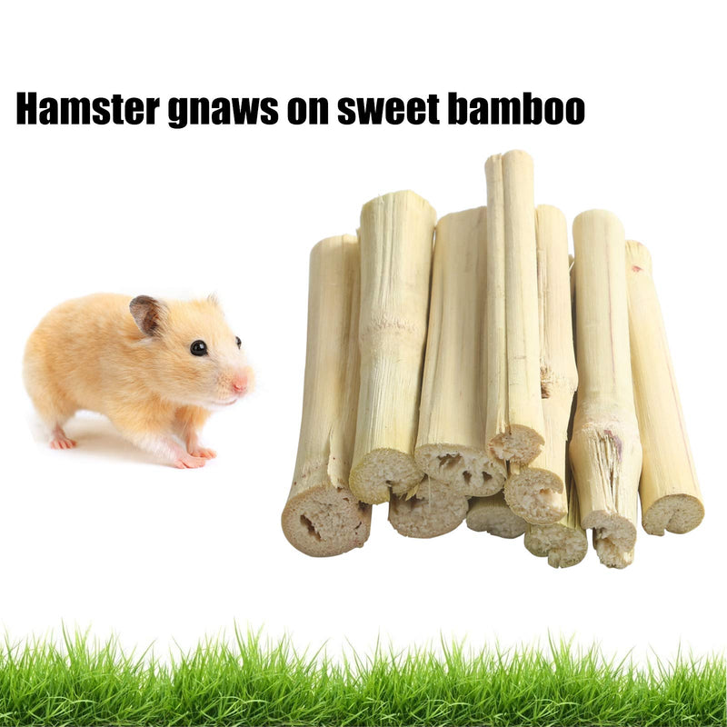 LMYKH Rabbit chew toy, hamster toy with apple sticks Timothy hay sticks, small animal molar accessories for guinea pigs, chinchillas, rabbits - PawsPlanet Australia