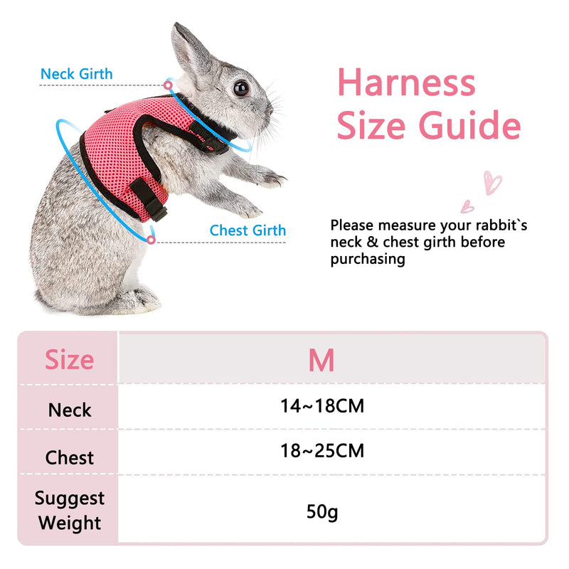 Adjustable Soft Rabbit Harness, Pack of 2 Breathable Rabbit Leash, Mesh Rabbit Harness Hamster Vest with Elastic Leash for Small Animals Rabbits Hamsters Cats Outdoor Walking (M) M - PawsPlanet Australia