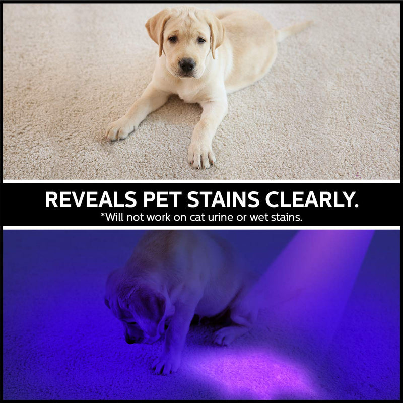 GearLight UV Black Light Flashlight XR98 - Powerful Patented 100 LED Blacklight Flashlights, Pet Stain Detector for Dog Urine, Scorpions, and Bed Bugs - Works with Carpet Odor Eliminator and Remover 100 LEDs - PawsPlanet Australia