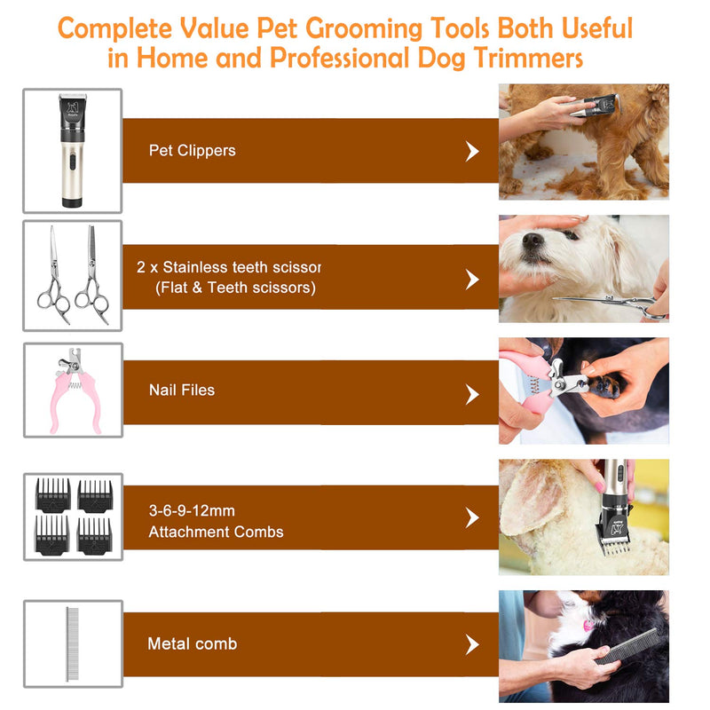 [Australia] - Bojafa Dog Grooming Clippers Kit Cordless Rechargeable Professional Pet Grooming Clippers Quiet Low Noise for Dogs Cats Hair Clippers Shaver Set Dog Grooming Kit Clippers-P6 Gold 