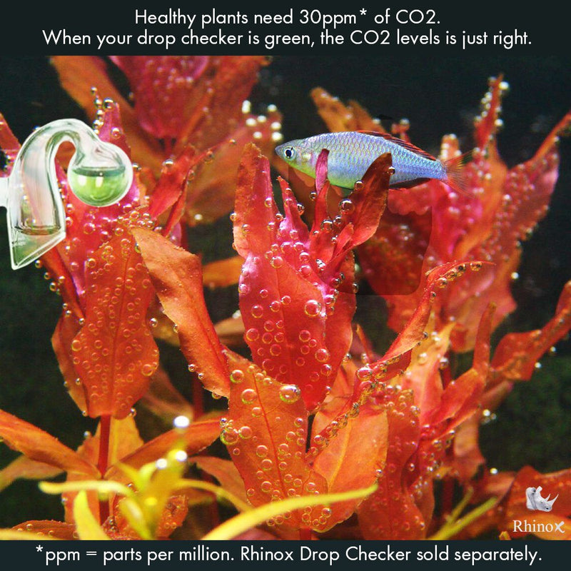 [Australia] - Rhinox Co2 Indicator Solution, 0.5 Ounce, Glass Drop Checker Replacement Solution for Aquarium, Keep CO2 Levels Consistent, Easy to use Regent, Keep Plants and Fish Healthy, 2 Pieces 