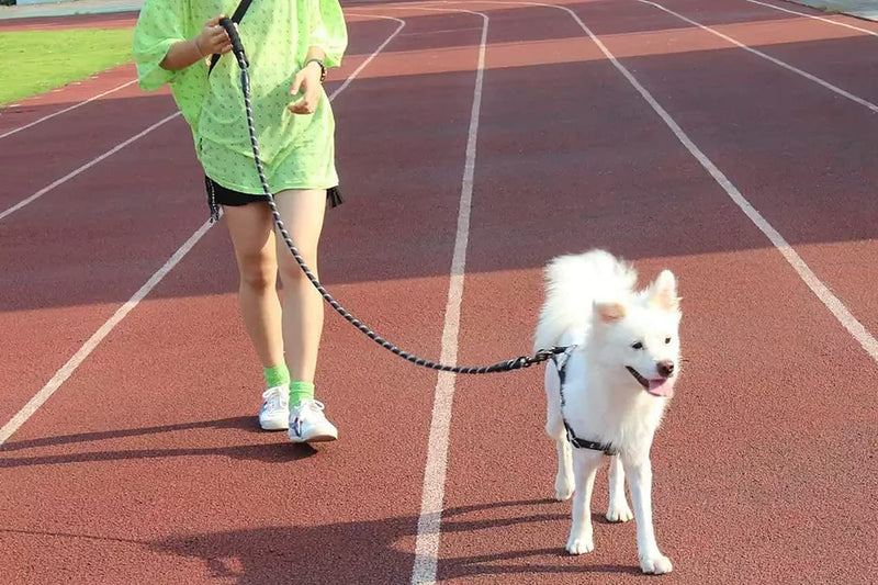 Cutefly dog leash for small medium and large dogs 1.5m up to 150kg with comfortable padded handle & robust reflective nylon for safety for people and dogs, black - PawsPlanet Australia