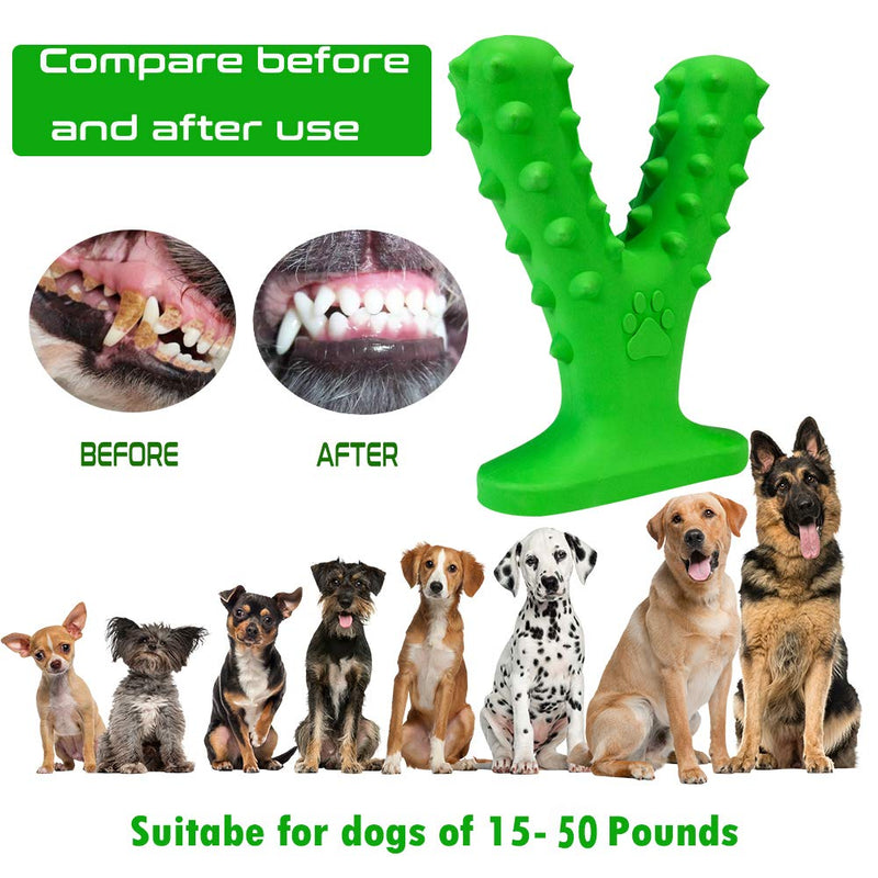 Aggressive chew Toys, Environmentally Friendly Materials, Very Durable Dog Toys Aggressive Chews,chew Toys for Puppies Teething Small Dogs,Pet Life Good Companion,New 2020 - PawsPlanet Australia