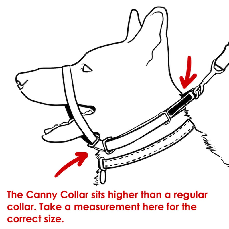 Canny Collar - The Canny Colossus Dog Collar For Large Breed Dogs, Simple And Effective Help With Dog Training To Stop Your Large Breed Dog From Pulling On The Lead - PawsPlanet Australia