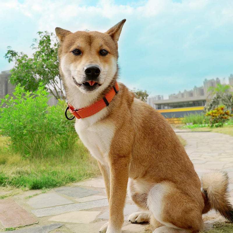 [Australia] - KOOWIN Slip Martingale Dog Collar & Dog Harness, Dog Leash with Reflective Strip, Orange/Grey Large, Collars Orange/Gray 