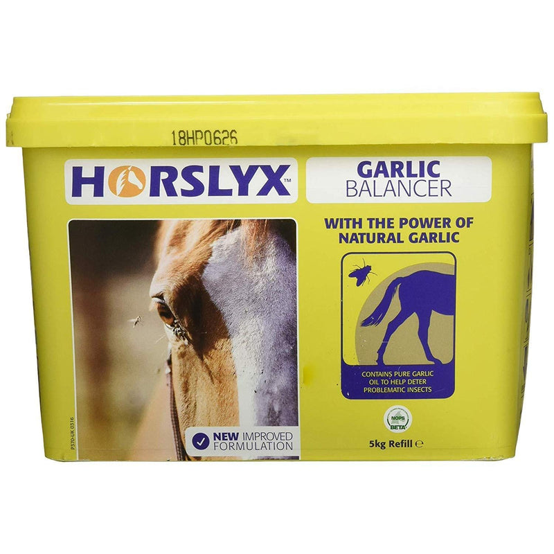 Horslyx Refill Horse Lick (5 kg) (Mint) - PawsPlanet Australia