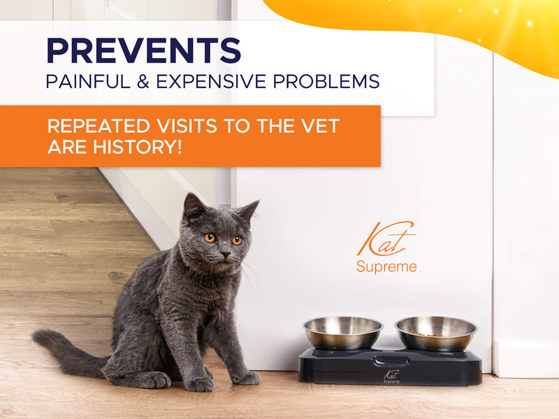 KatSupreme Tilted Cat Food Bowls - Elevated Cat Bowls, Anti Vomiting Cat Bowl Set, Stainless Steel Cat Bowls, Cat Food Bowls Elevated, Raised Cat Bowls for Indoor Cats, Orthopedic Cat Bowl - PawsPlanet Australia
