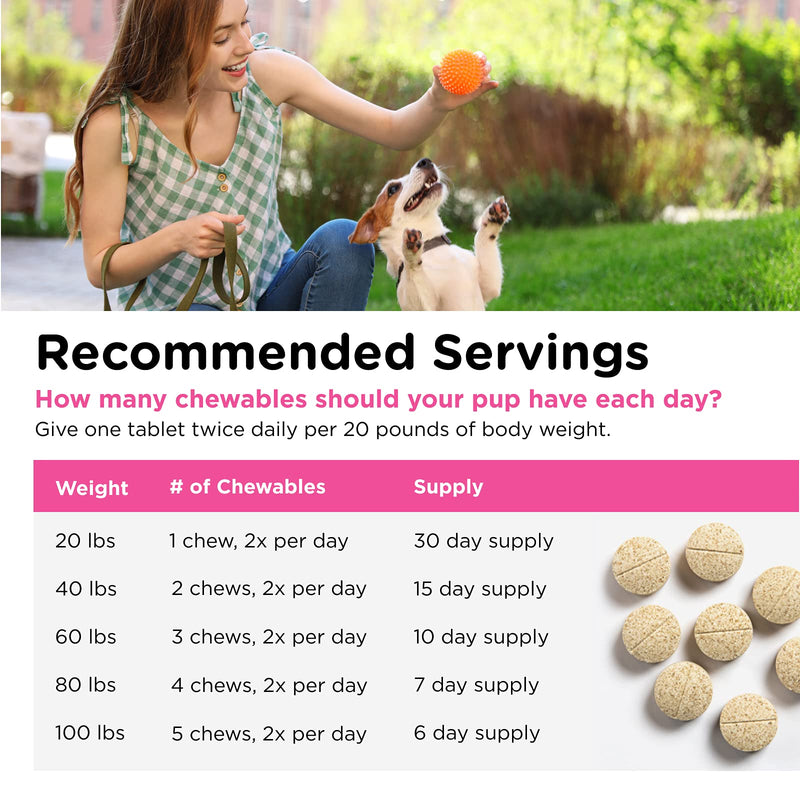 Nutri-Vet Allerg-Eze Chewables for Dogs | Formulated Antioxidants and Omega-3 Acids | Supports Respiratory and Skin Health | 60 Chewables - PawsPlanet Australia