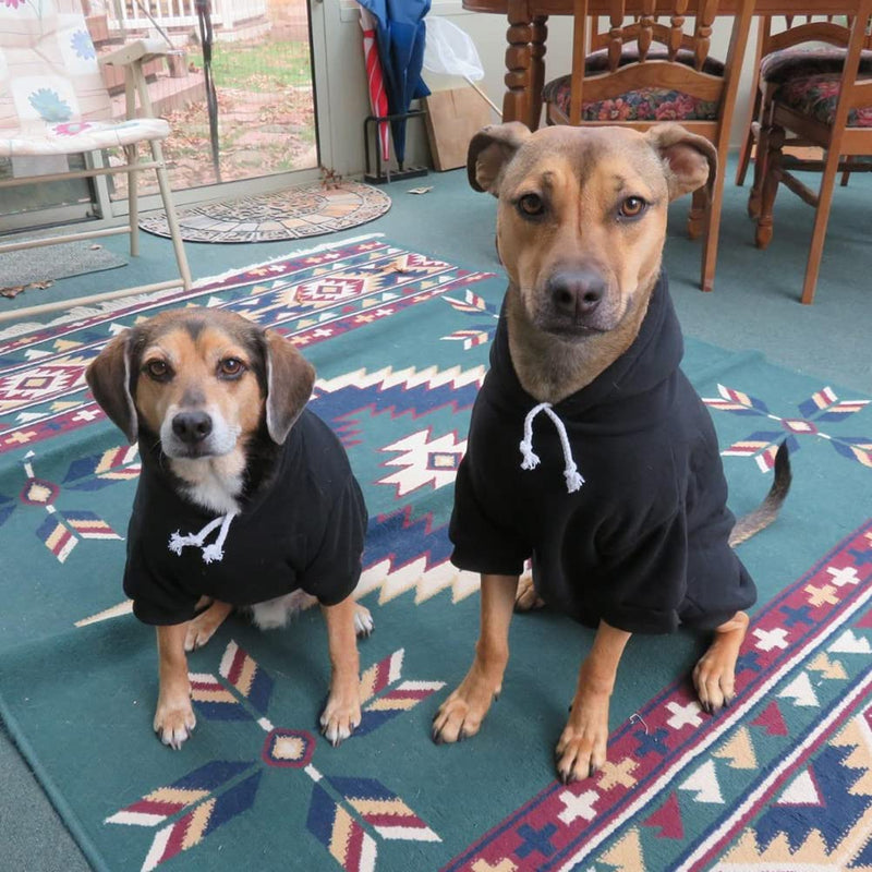 BINGPET Blank Basic Polyester Pet Dog Sweatshirt Hoodie X-Small (Pack of 1) Black - PawsPlanet Australia