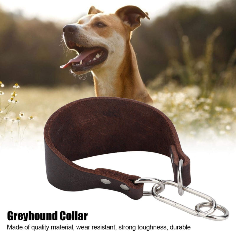 DAUERHAFT Double Rivet Fixing, Whippet Collar, Extra Soft Martingale Dog Collar Protect Dog Neck from Being Hurt, - PawsPlanet Australia
