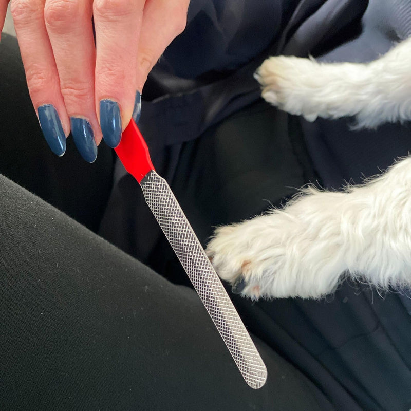 Intirilife Claw Scissors for Dogs Nail File in Red - Scissors 16 x 5.5 (12) x 1.5 cm - File 14 x 1.5 cm - Claw Care File for Dogs and Cats Cutter Clippers for Pets - PawsPlanet Australia