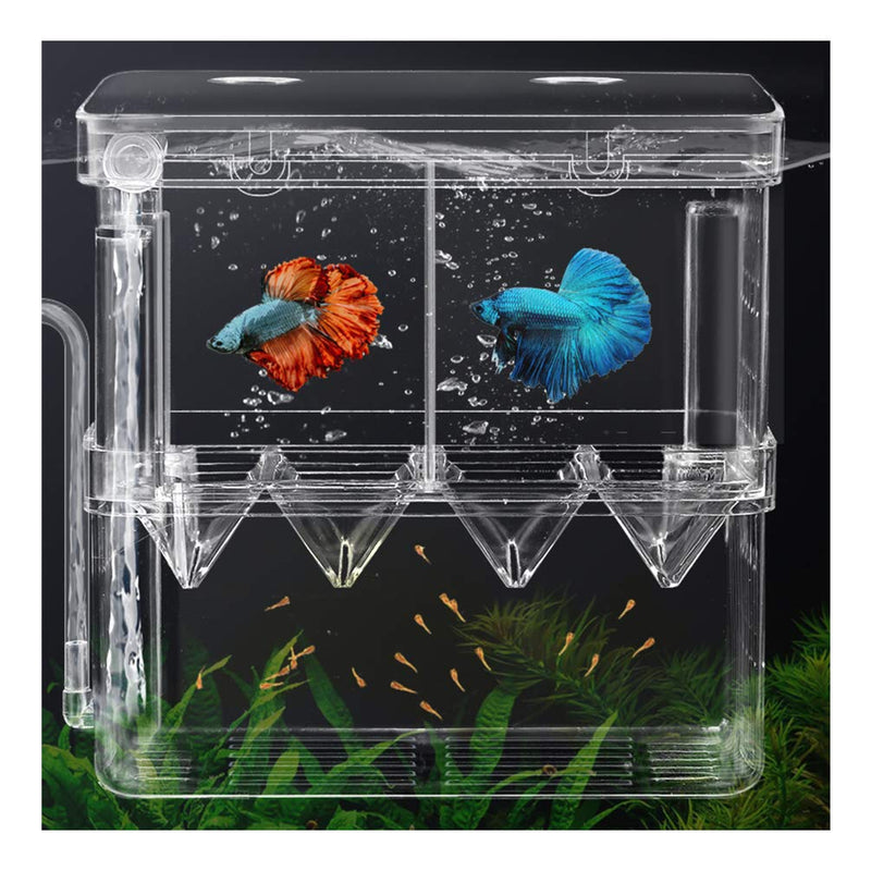 Aquarium Fish Breeder Box Fish Isolation Box with Suction Cups for Baby Fish Clownfish Guppy and Betta Large - PawsPlanet Australia