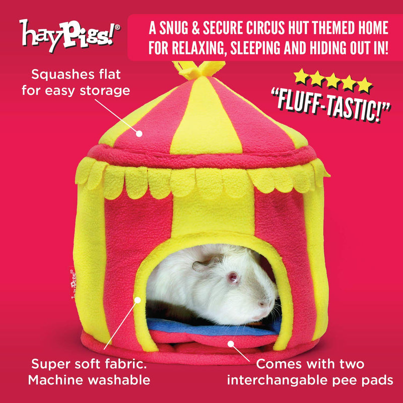 HAYPIGS Starter Set - Circus Themed Guinea Pig Toys and Accessories - Guinea Pig Toys - Guinea Pig House - Guinea Pig Bowl - Guinea Pig Tunnel - Guinea Pig Hideaway - Guinea Pig Food Bowl 2. Haypigs Starter Set - PawsPlanet Australia