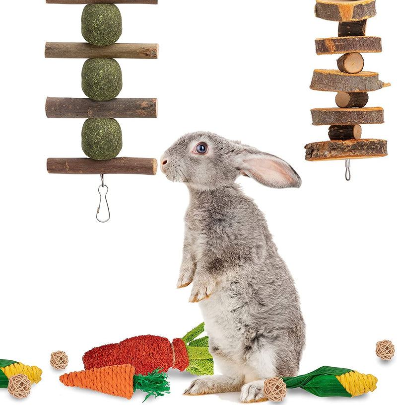 16 PCS Rabbit Toys Bunny Chew for Teeth, Hamster Dental Health 100% Natural Apple Wood Grass Ball String Pet Cage Entertainment Accessories Chinchilla, Guinea Pig, Hamster Degus, Squirrels 16pcs - PawsPlanet Australia