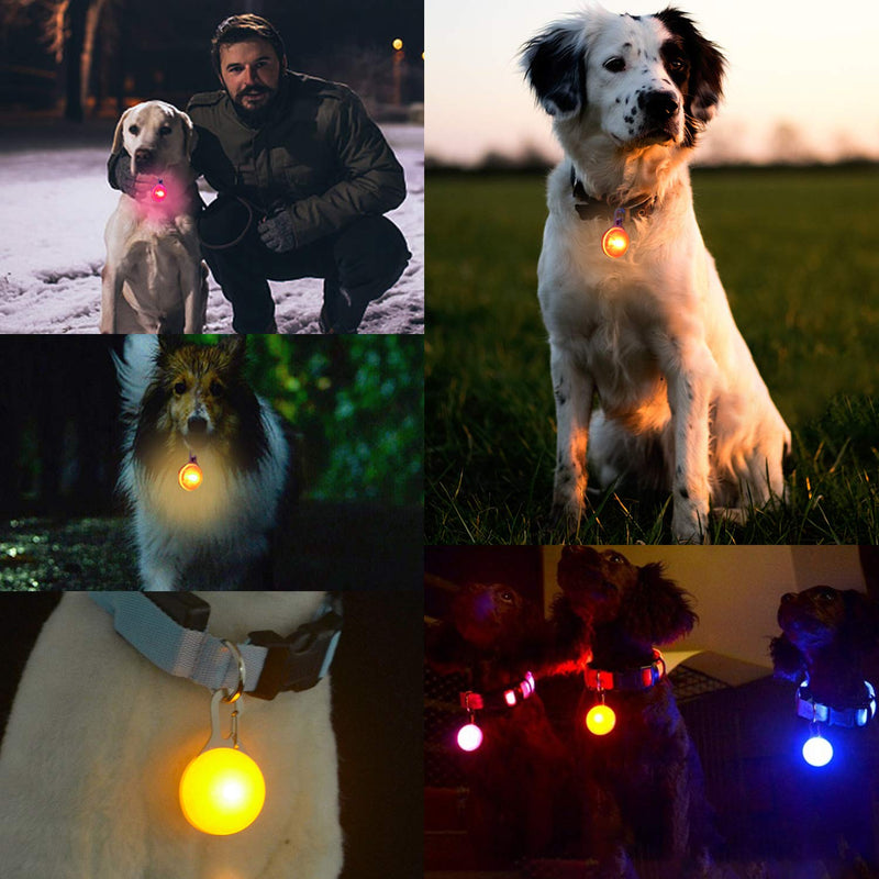 JOYJULY Cat Dog Led Light Collar Clip,6 Pcs Waterproof Pet LED Light Dog Collar Lights with 3 Flashing Modes,Night Walking Light Up Dog Collars Visibility & Safety For Your Dog(6 Extra Batteries) - PawsPlanet Australia