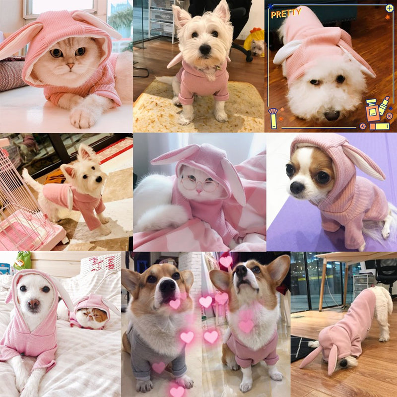 Fashion Pet Dog Cat Hoodies 2 Legs Pet Clothes Cotton Puppy Winter Sweatshirt Warm Sweater Coat Jacket M Pink - PawsPlanet Australia