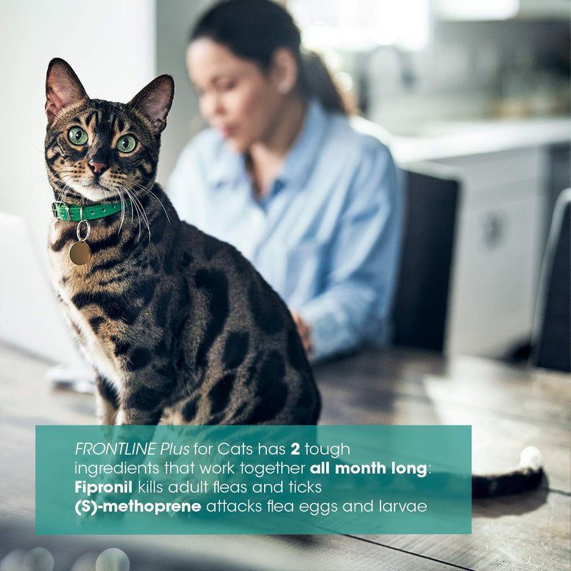 [Australia] - FRONTLINE Plus Flea and Tick Treatment for Cats (8 Doses) 