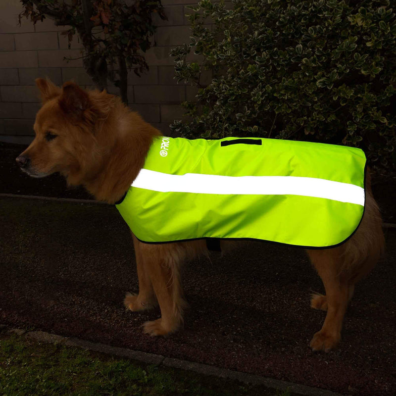 Proviz Classic Hi Viz Reflective Waterproof Fleece-Lined Dog Coat Hi Visibility Jacket M - PawsPlanet Australia