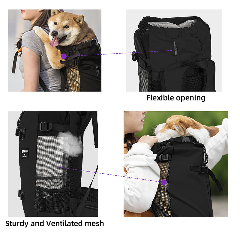 dojeep Pet Dog Carrier Backpack for Dog, Adjustable Pet Backpack Cat Dog Carriers Backpack Travel Bag, Breathable Mesh Pet Supplies Backpack for Dogs Cats (Medium, Black) Medium - PawsPlanet Australia