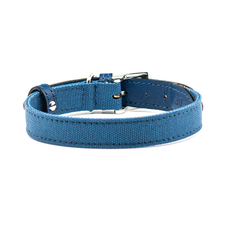 Project Blu Eco Friendly E-Leather Dog Collar, Sustainable and Recycled Pet Collar (Small, Monterey) Small - PawsPlanet Australia