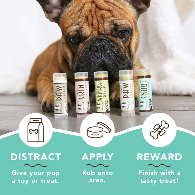 Natural Dog Company - Powerhouse Travel Pack | Includes 5 Balms, For Cracked Paws, Skin Irritation and Dry Nose, Organic, All Natural Ingredients, 0.15oz Travel Sticks - PawsPlanet Australia