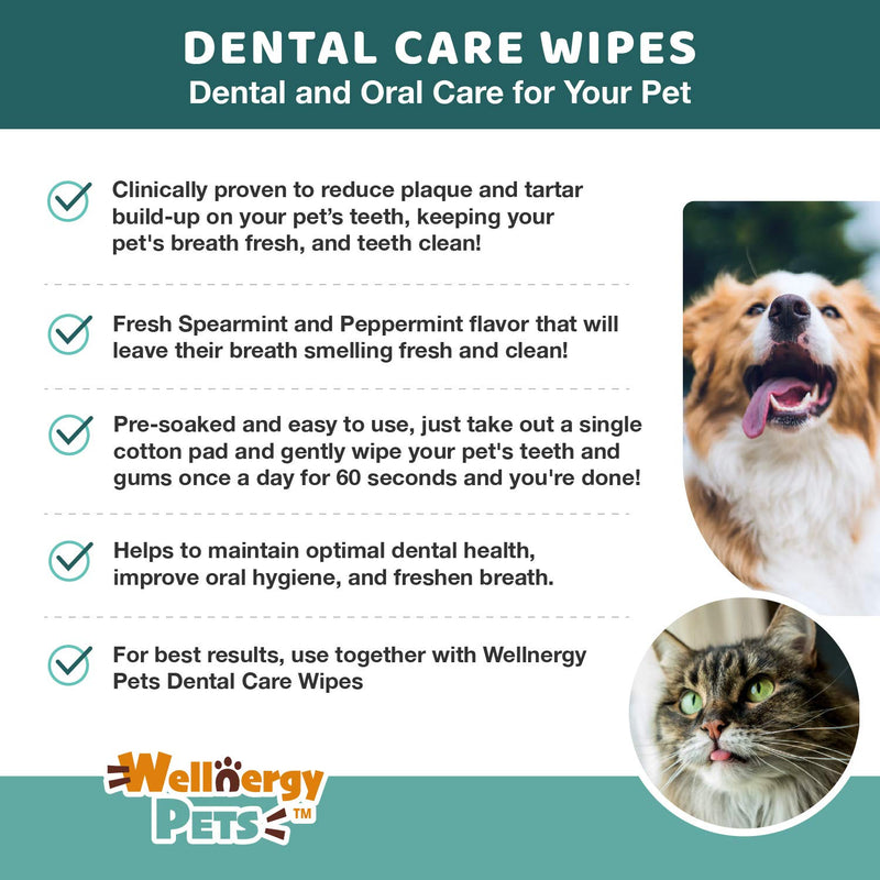 Wellnergy Pets Dental Wipes for Dogs and Cats - No Brush Formula; Improve Oral Hygiene and Health; Freshen Breath; Fresh Mint Flavor. 100 Wipes. - PawsPlanet Australia