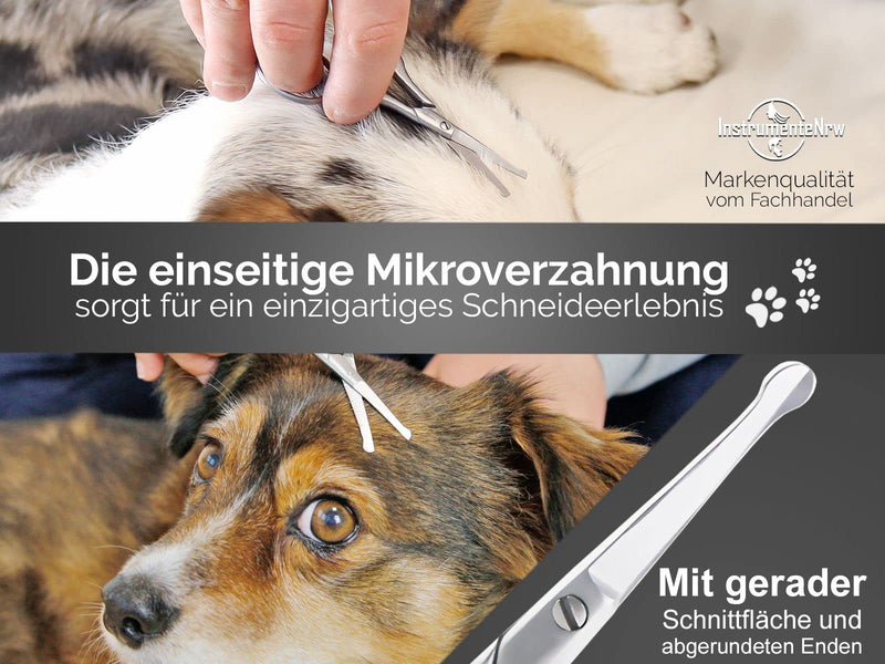 Fur scissors Paw scissors from Solingen Small dog scissors with one-sided micro-serration Dog hair scissors made of stainless steel with a sharp, rounded cutting surface for perfect grooming - PawsPlanet Australia