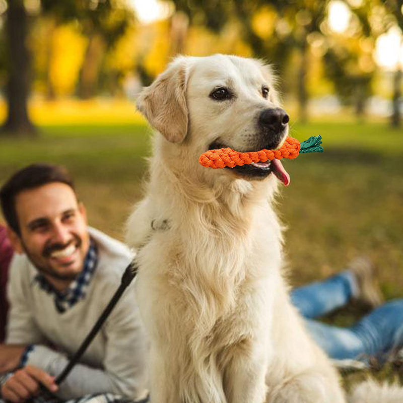 Dog Rope Toys for Aggressive Chewers (7-50lbs)-NEPOG 3 Pack Valued Dog Toys for Small,Medium Breed & Large Breed Puppy with Interactive Dog Chew Toys, Squeaky Dog Toys for Teething - PawsPlanet Australia